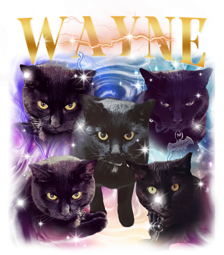 Wayne.png