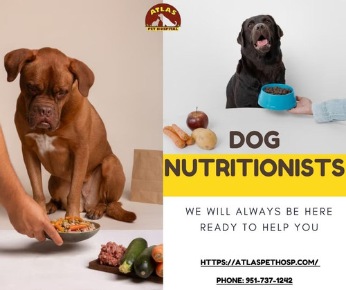 Dog Nutritionists - Atlas Pet Hospital.jpg