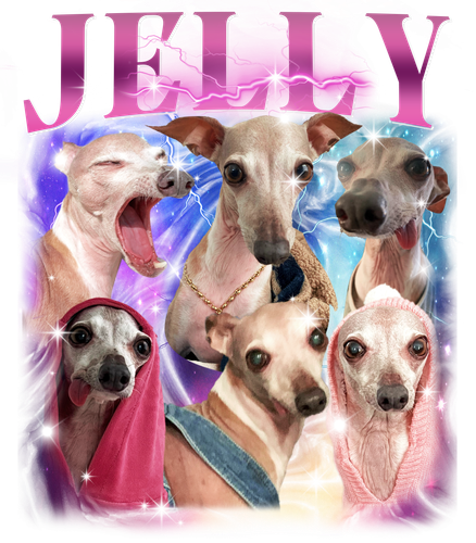Jelly.png