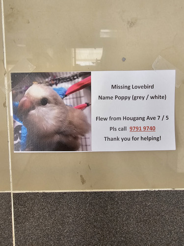 1000002195.jpg