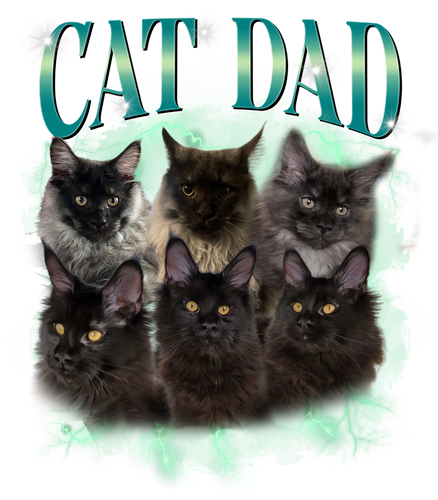 cat dad.png