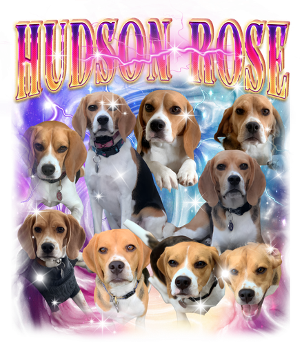 3135015794 (pau).png