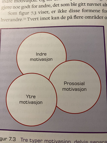 motivasjonsfaktorer.jpg