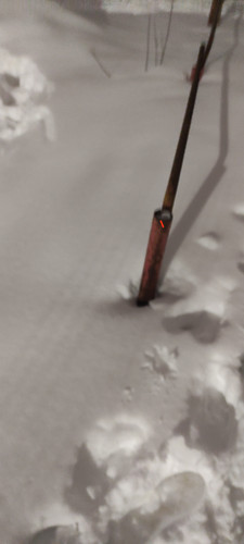 IMG 20231223 023703.jpg