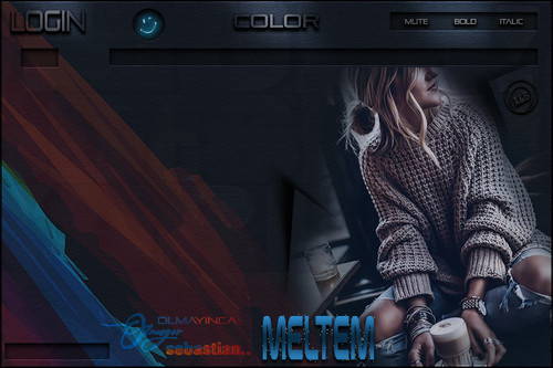 MELTEM OLMAYINCA OLMUYOR.jpg