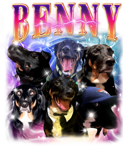 Benny.png