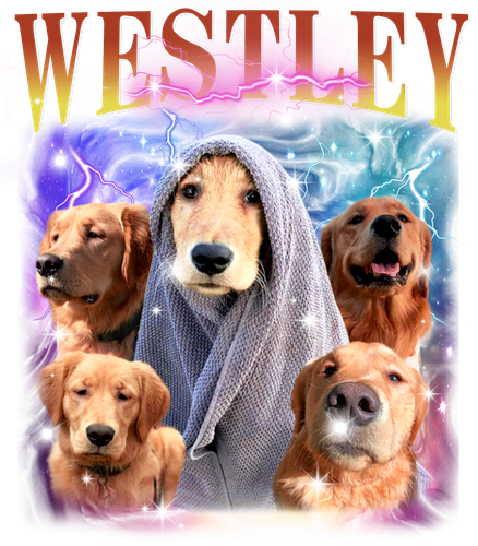 westley.png