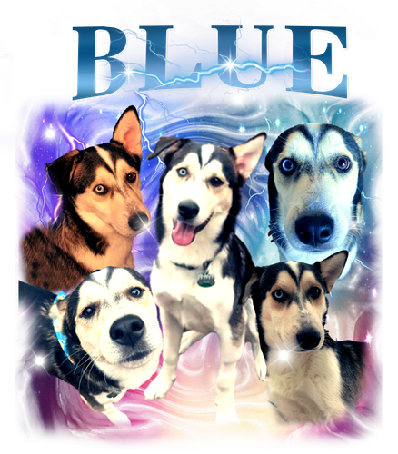 blue.png