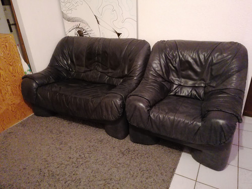 IMG 20231217 231217.jpg