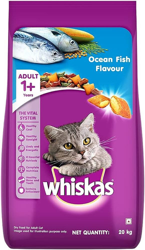 ofish 20.jpg