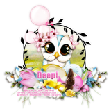Deepi Owly Spring ban