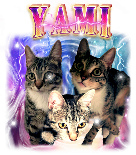 yami.png