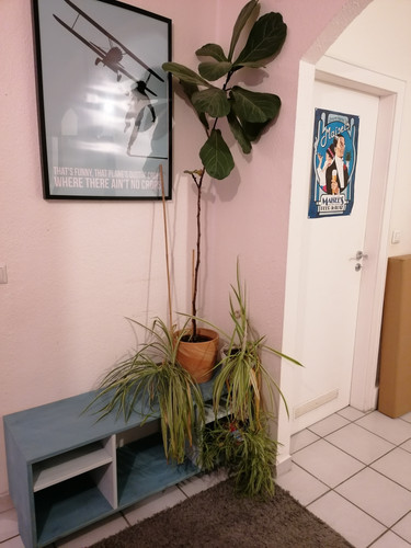 IMG 20231217 231116.jpg