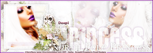 Deepi North Pole ban