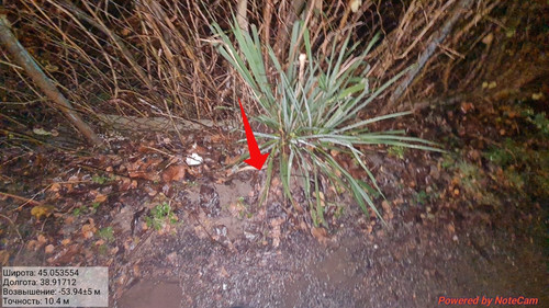 SnapMarkup 20230418 070445.jpg