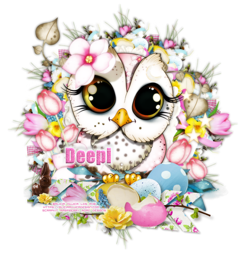 Deepi Owly Spring tag