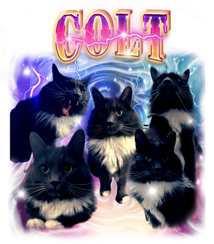 colt.png