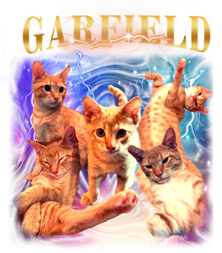 garfield.png