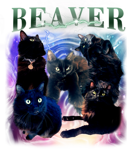 beaver.png