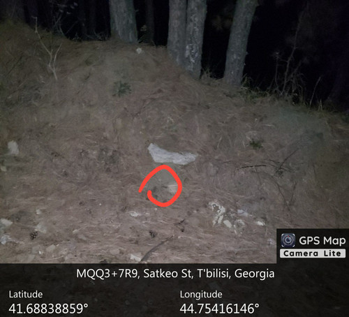 IMG 20231218 201203 733.jpg