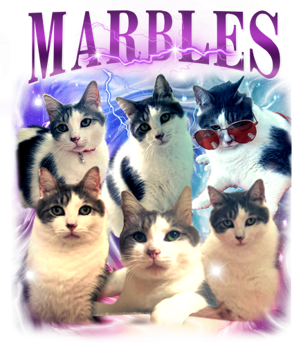 marbles.png