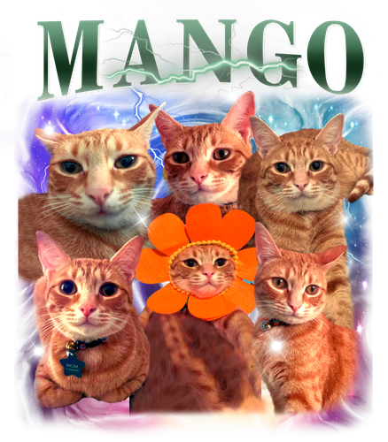 mango.png