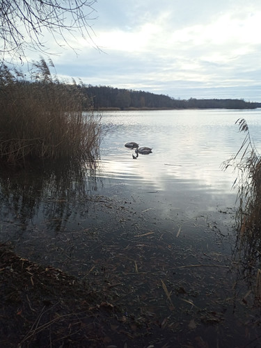 IMG 20231213 123125 615.jpg