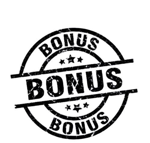 bonus removebg preview.png