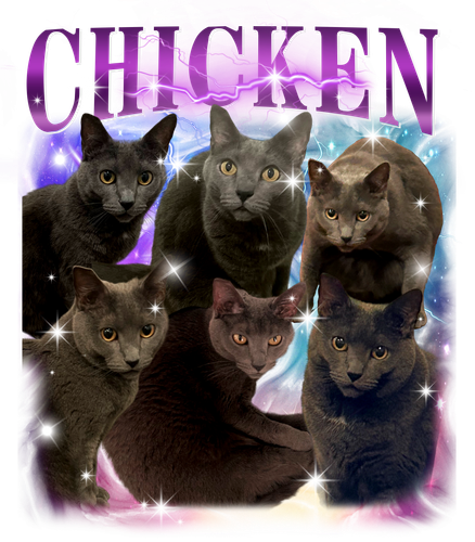 3140662807 Chicken 0 f1.png