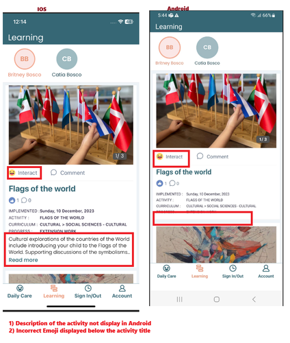 Activity description issue.png