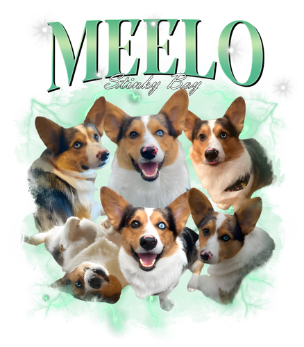 Meelo.png