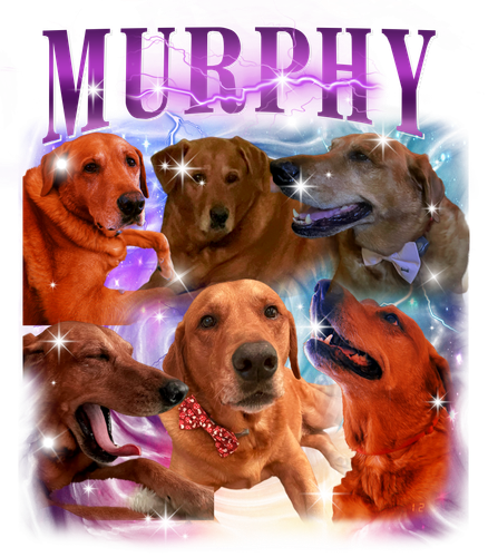 3148515632 murphy 0 f1.png