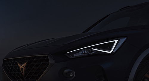 cupra.jpg