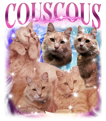 Couscous.png
