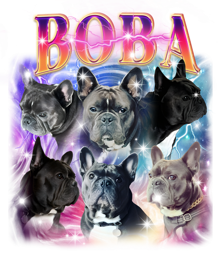 boba.png