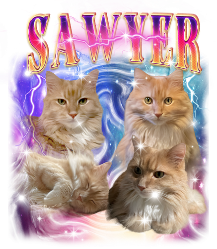 SAWYER.png