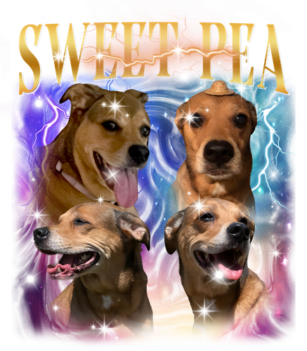SWEET PEA.png