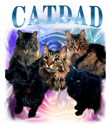 cat dad6.png