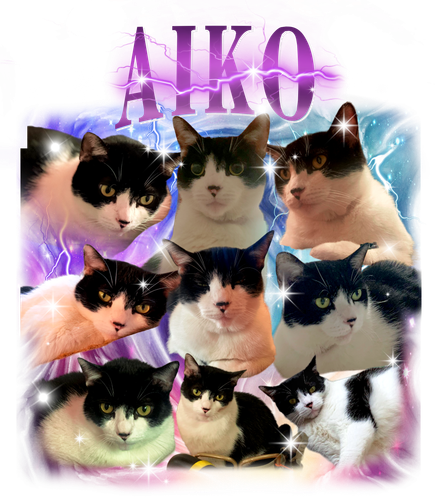 3148606580 AIKO 0 f1.png