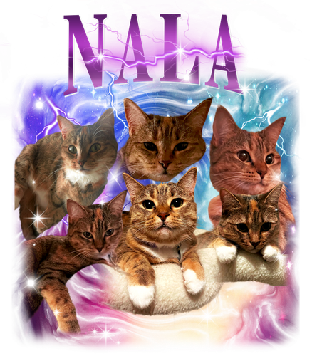 3140498771 Nala 9 f1.png