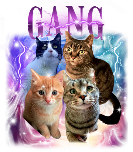 3140446409 Gang 9 f1.png