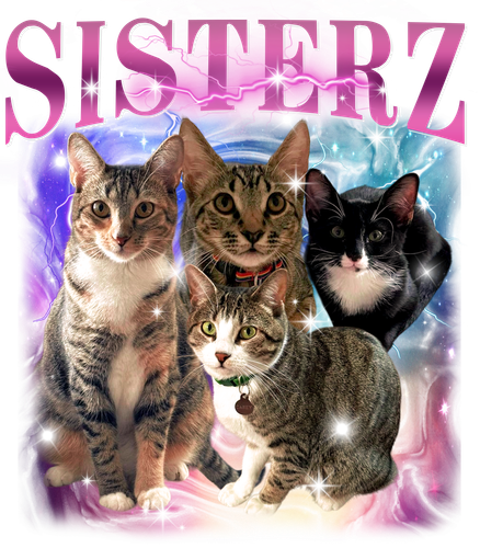 3140445685 SISTERZ 1 f1.png