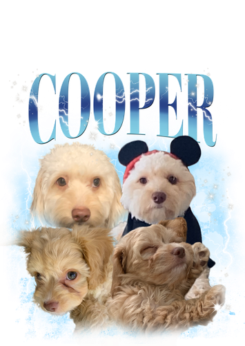 3148140686 Cooper 0 f3.png