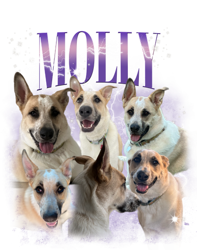 3141680021 Molly 2 f3.png