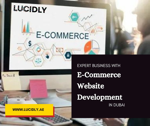 Expert Business With E-Commerce Website Development in Dubai.jpg