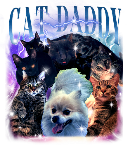 catdaddy 3138531247.png