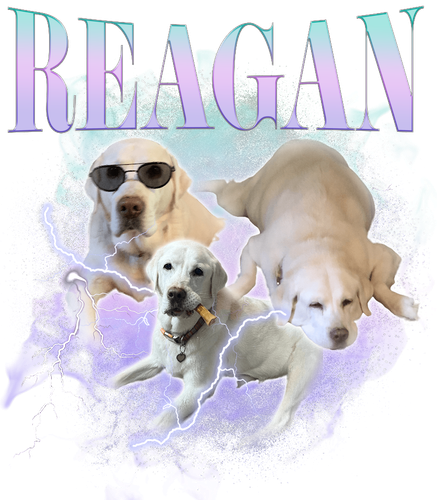 3141145105 KN041220231820 Reagan.png