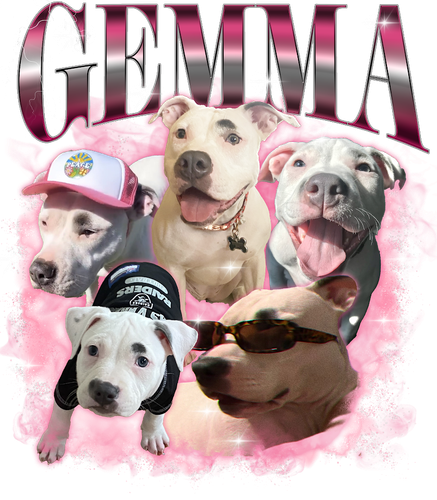 KN041220231840 GEMMA.png