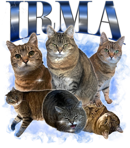 KN041220231840 (5).png