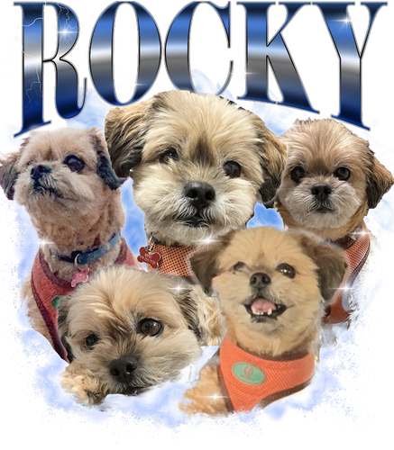 KN041220231840 (12).png